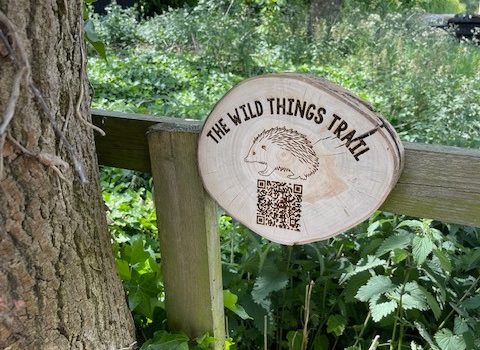 Hedgehog trail