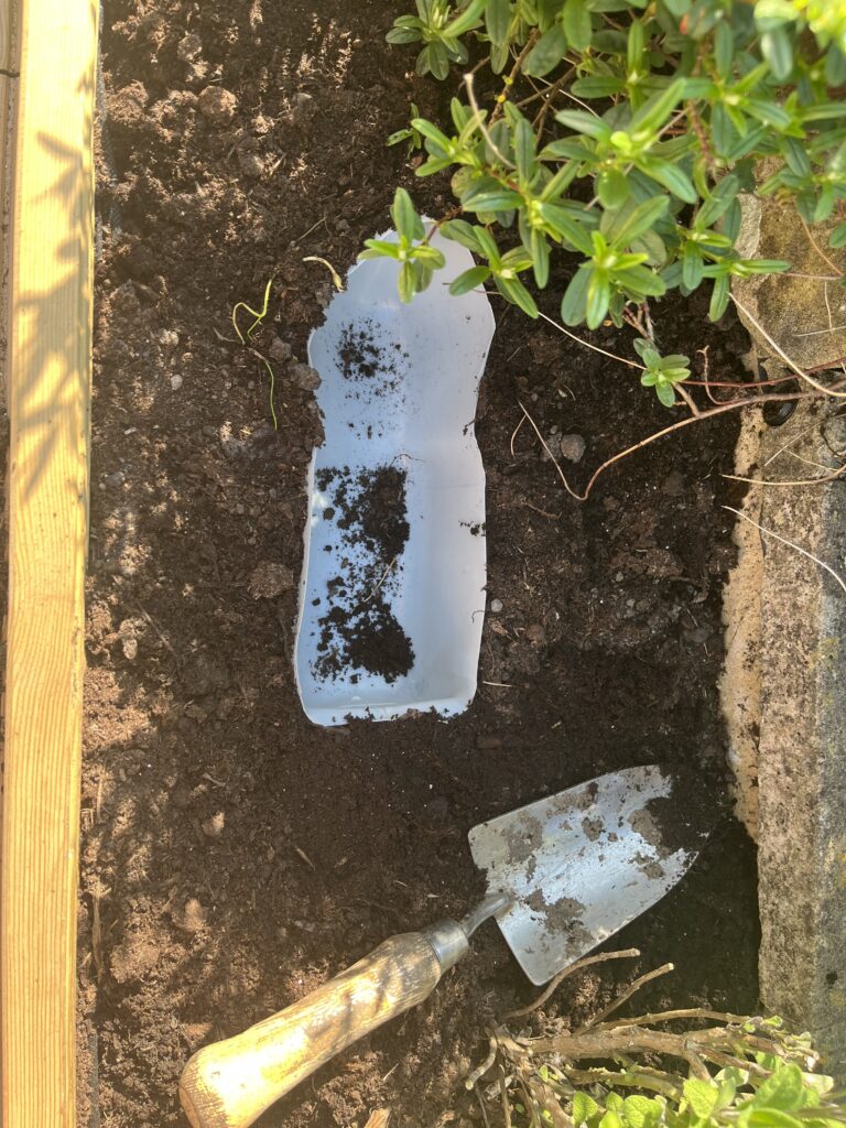 Mini micro pond with Girl Guiding