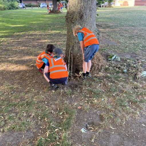 Beavers making dens with 21st Century Thame