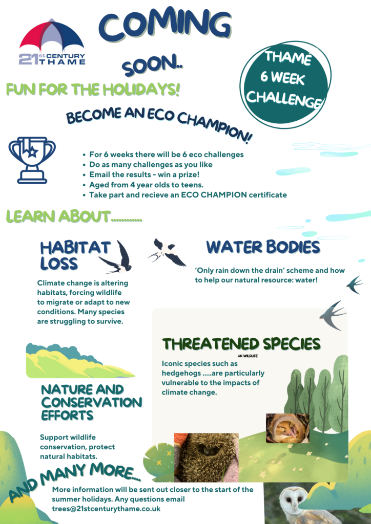 Guides, scouts conscious consumer badge delivered by 21st Century Thame.  6 week Eco challenge over the summer holidays